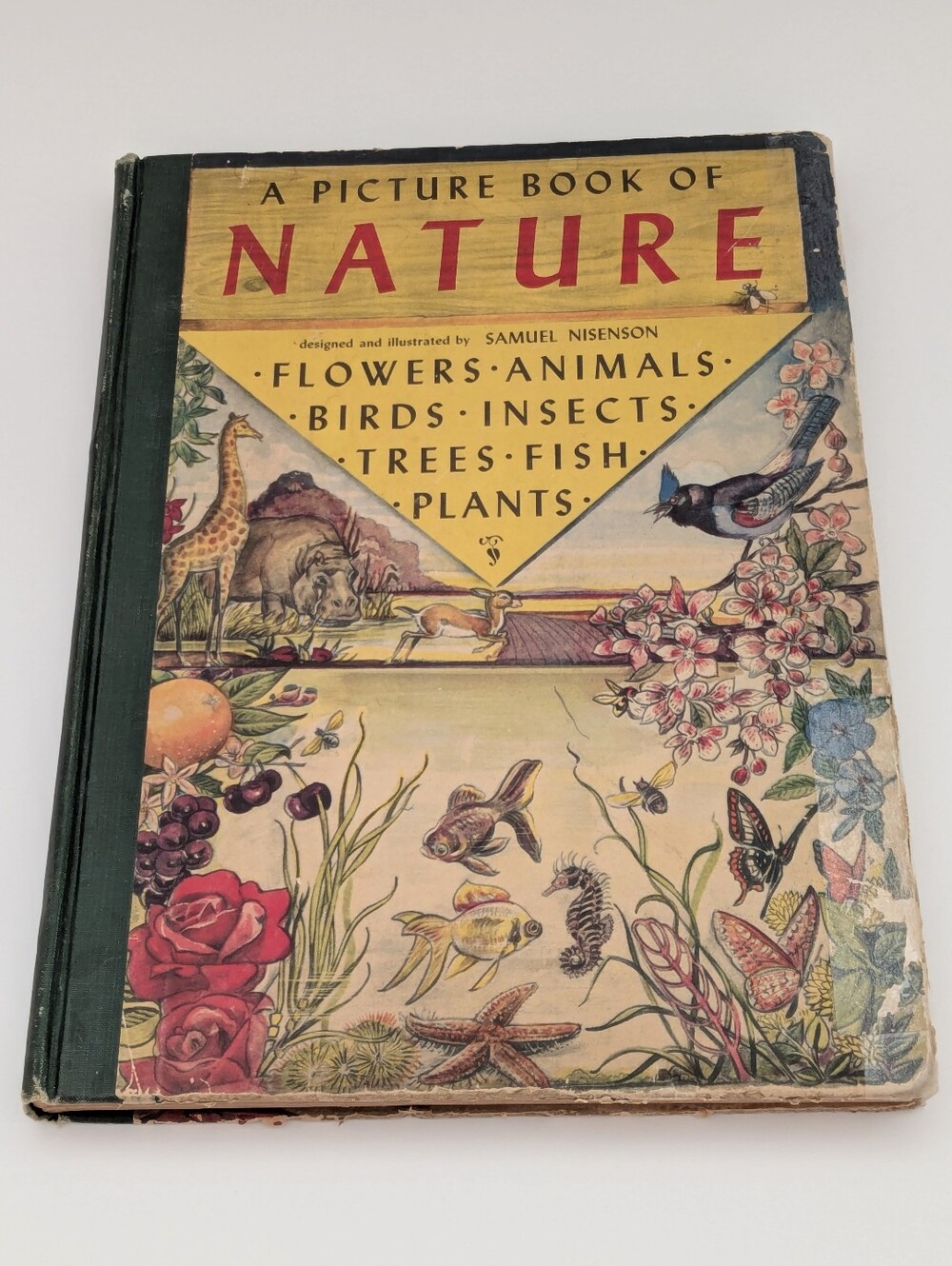*Vintage* A Picture Book of Nature illustrated by Samuel Nisenson, 1943